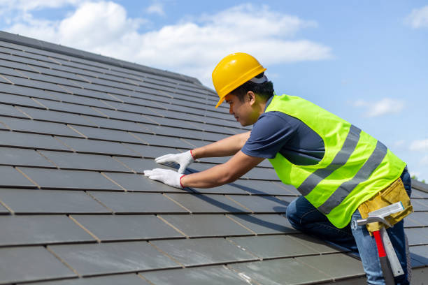 Best Roof Gutter Cleaning  in Henderson, NC