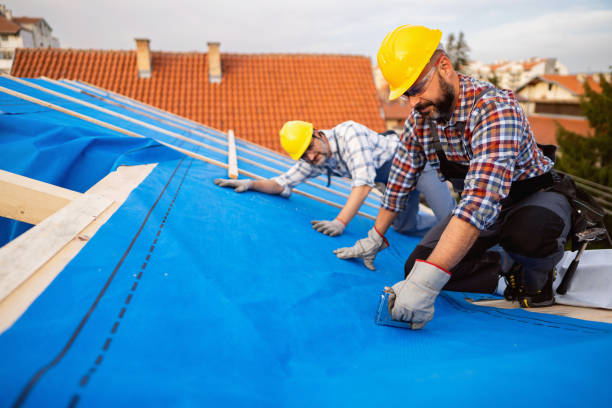 Best Metal Roofing Contractor  in Henderson, NC